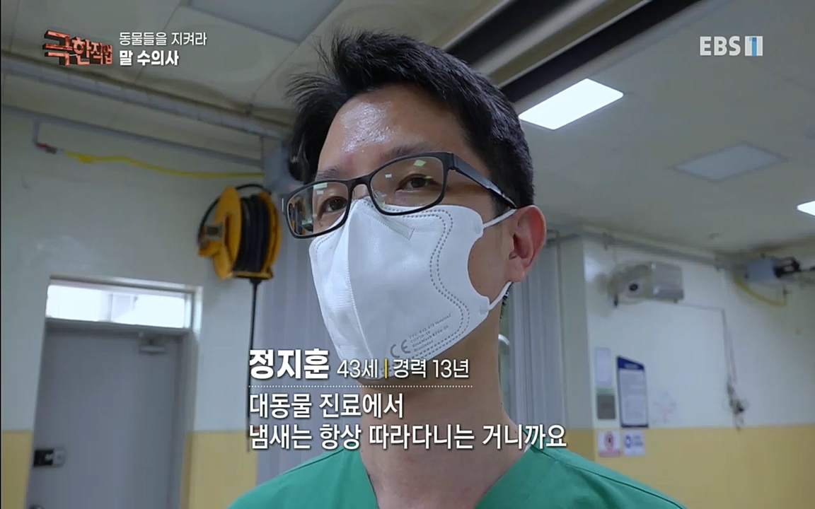 TV - 교육의 중심 EBS동물들을 지켜라, 수의사와 유기 동물 구조팀.mp4_20220913_200146.172.jpg