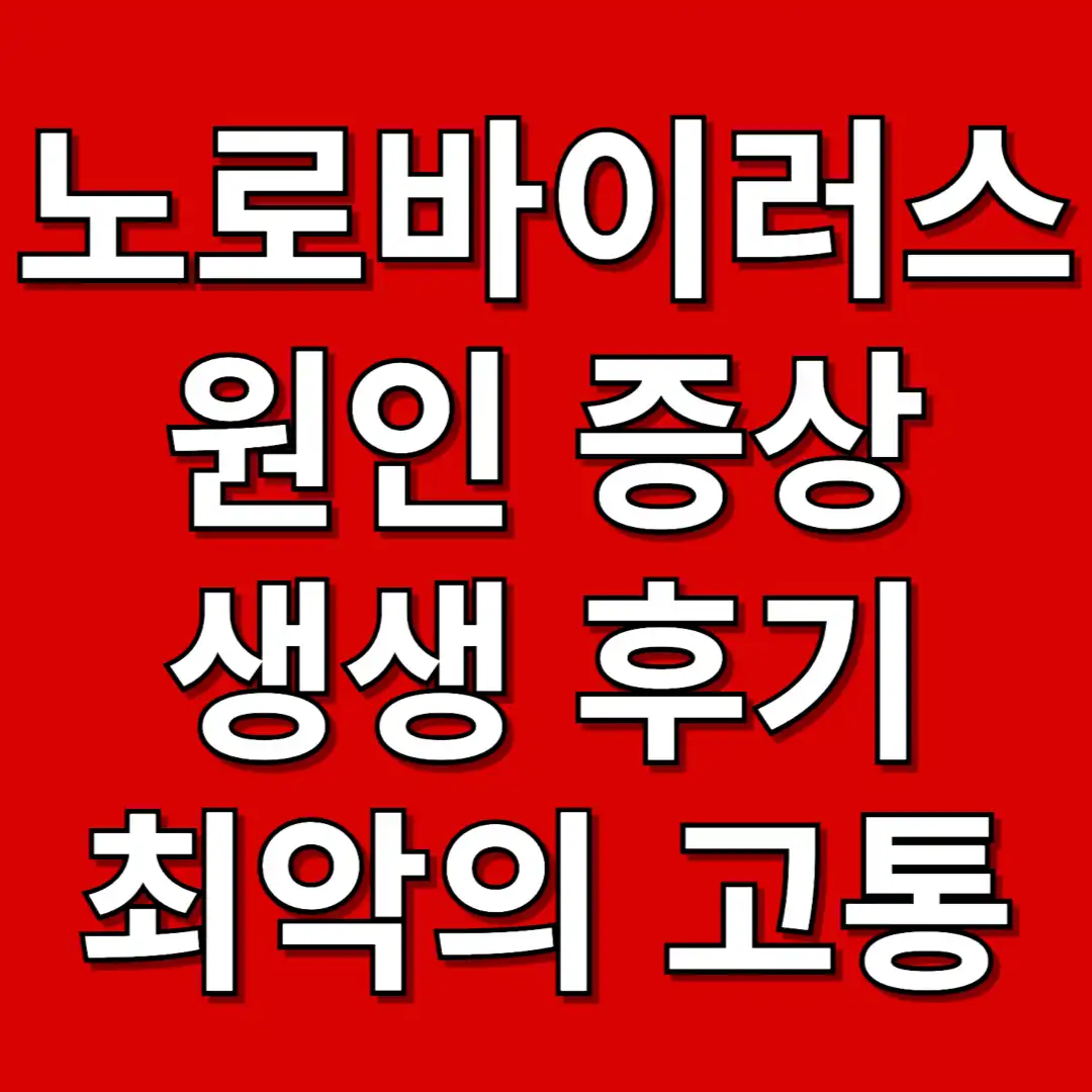 노로바이러스 증상