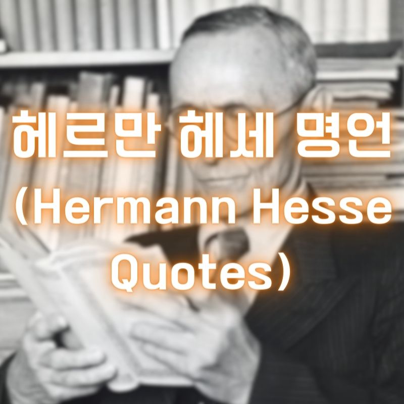 헤르만 헤세 명언 (Hermann Hesse Quotes)