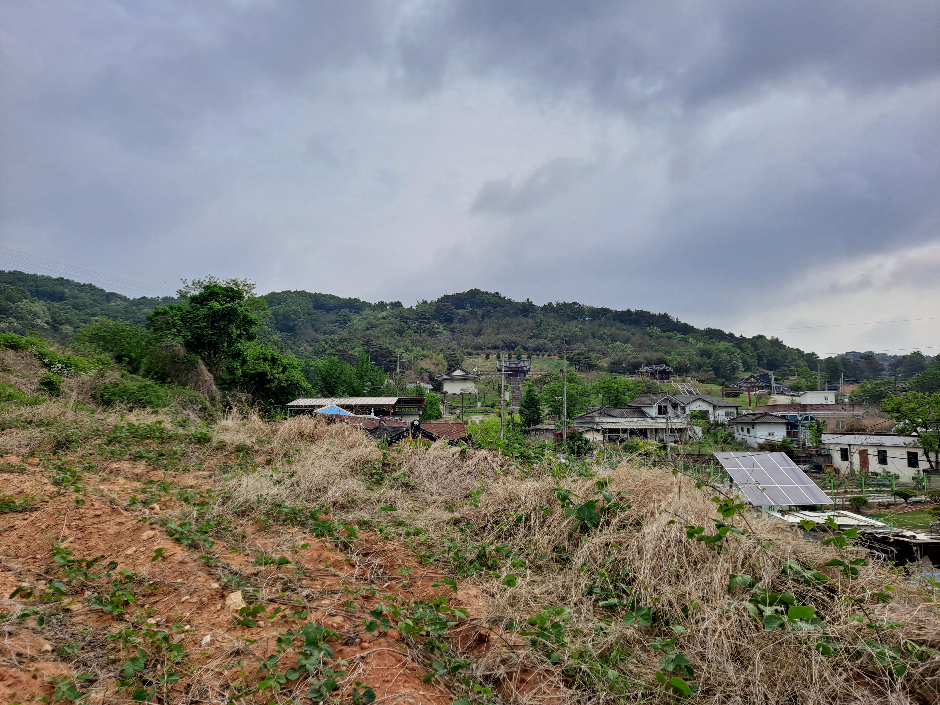  애국 충절을 기리다, 청주 충렬사