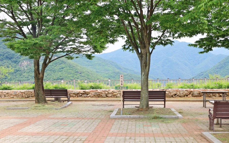 밀양 가볼만한곳 베스트10 알아보자