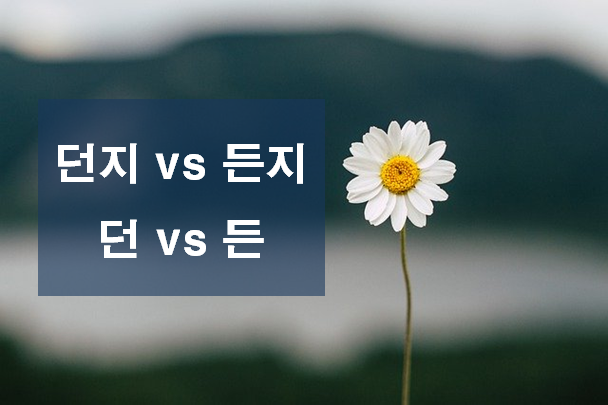  던지든지, 든지던지, 든던, 던든 차이 올바른 사용법