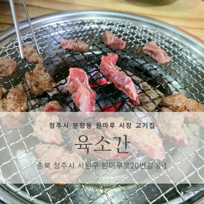 육소간