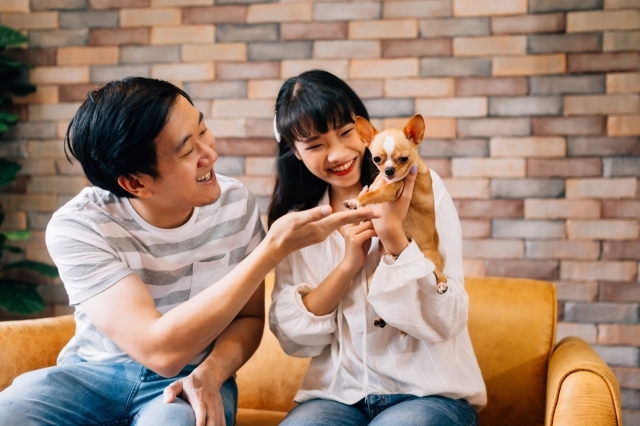  ‘돈 없고 집 없어 아이 안 낳는다’…작년 신혼부부 실제 그랬다