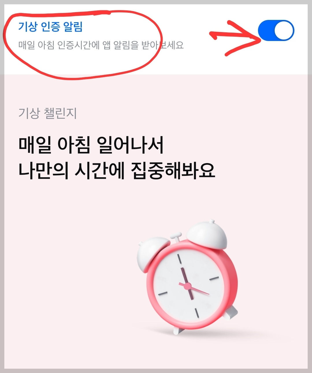 기상미션 인증 알림