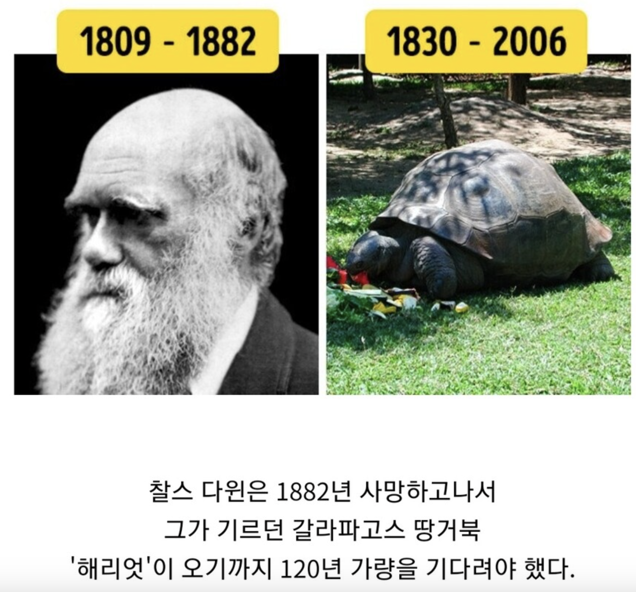 먼저 가 있던