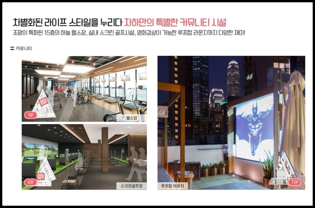 자하 이미지