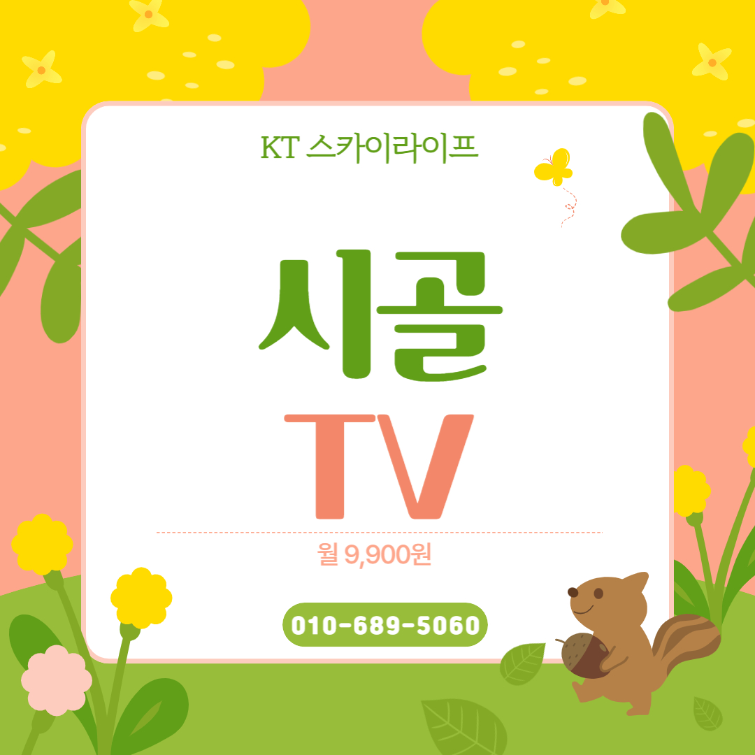  시골 tv 간편하고 빠르게 설치 가능했어요