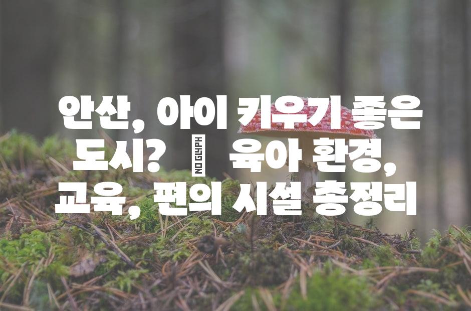 샘플 (42)