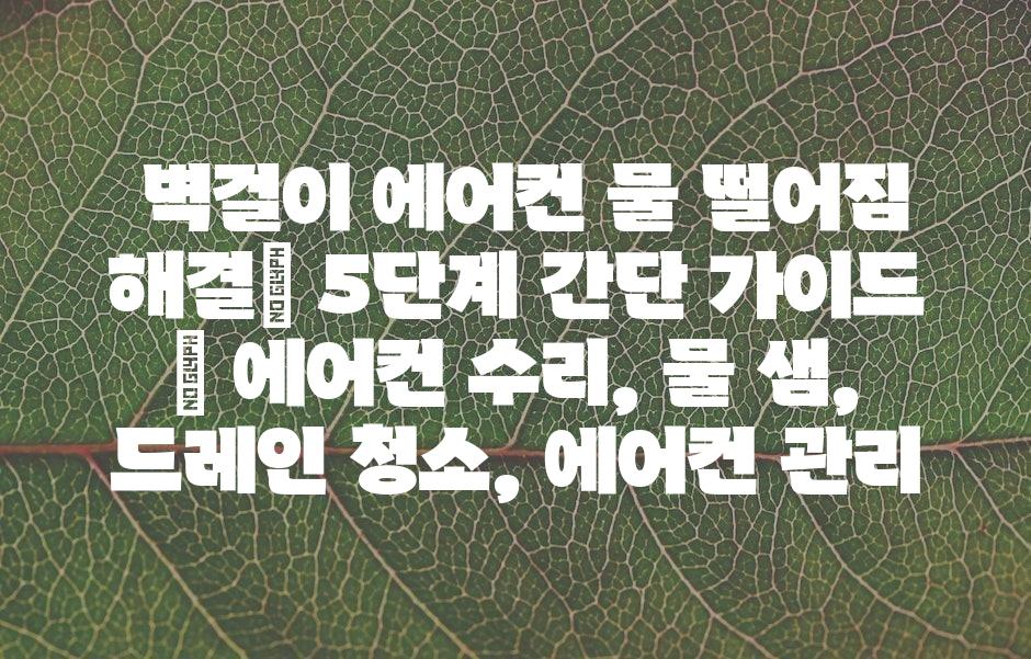 샘플 (43)