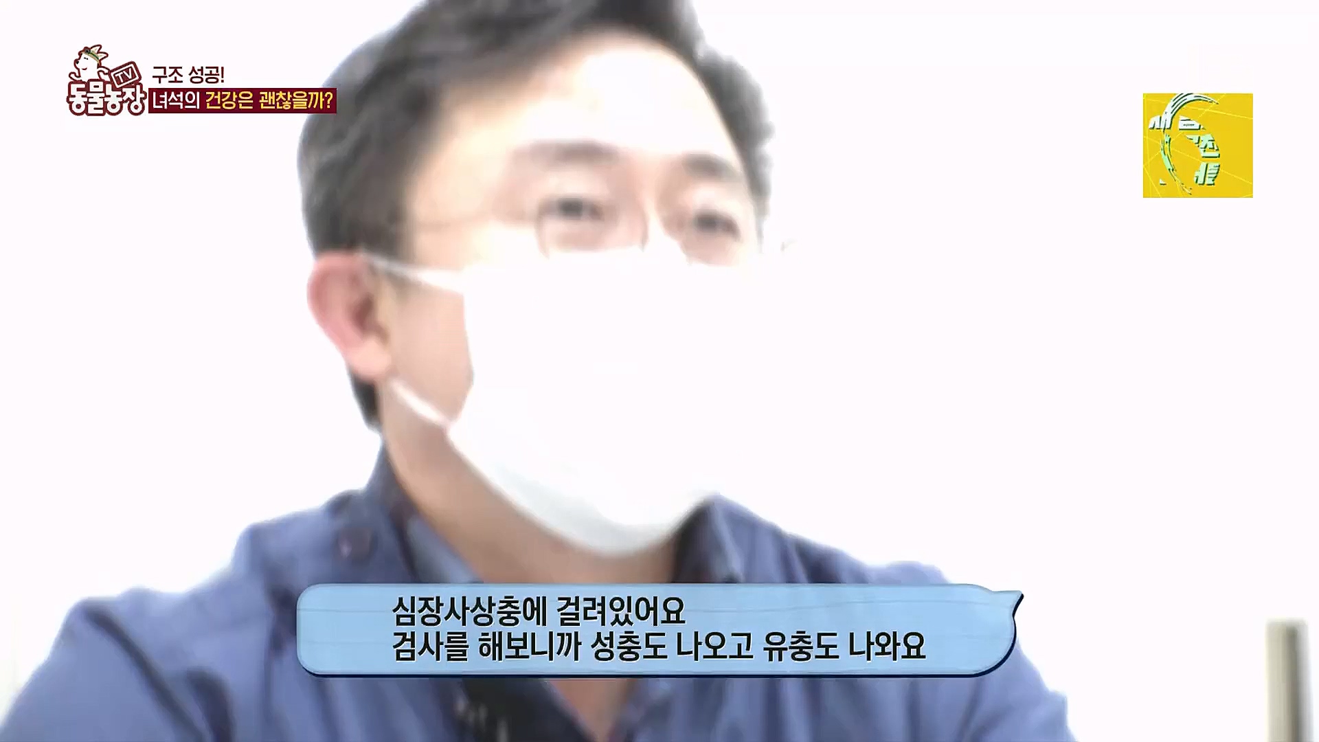 TV 동물농장.E1104.230115p.H264-F1RST.mp4_20230115_173218.336.jpg