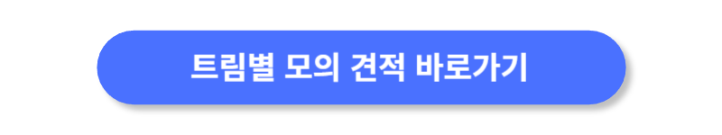 버튼