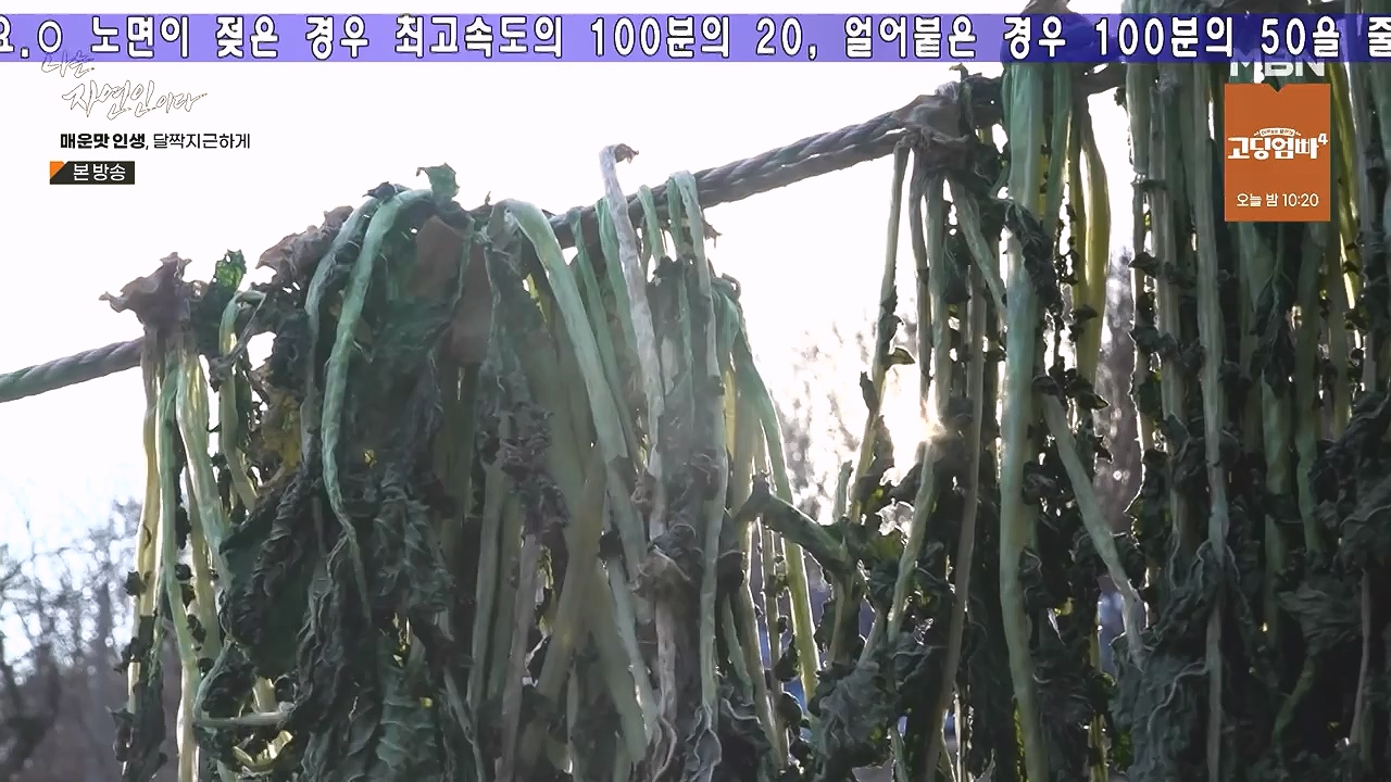 나는 자연인이다.E585.231221p-NEXT.mp4_20231221_200833.076.jpg