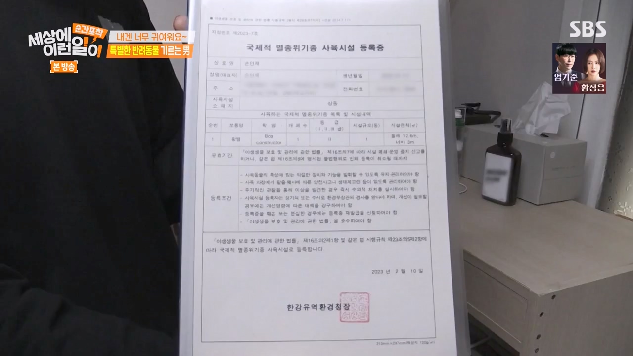 순간포착 세상에 이런일이.E1269.240317p-NEXT.mp4_20240317_163613.796.jpg