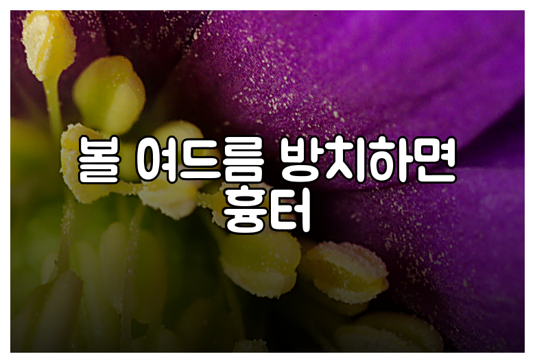 볼 여드름 방치하면 흉터