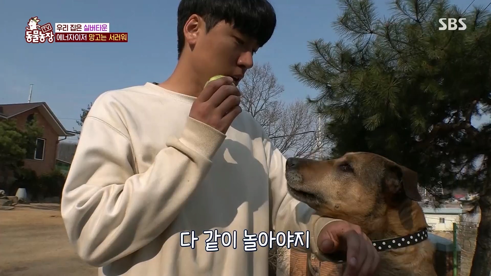 TV 동물농장.E1115.230409p.H264-F1RST.mp4_20230409_173054.962.jpg