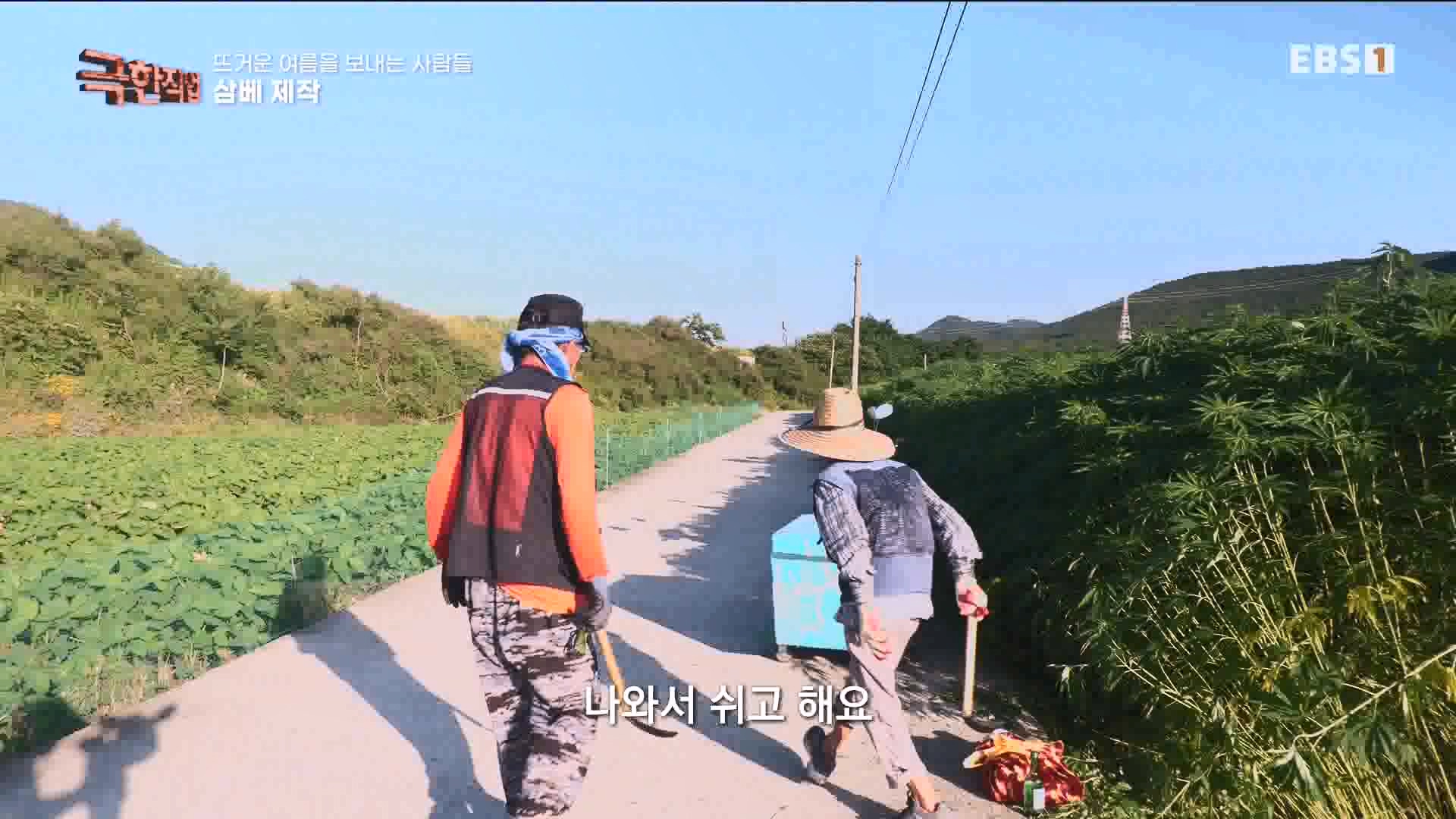 [극한 직업] 삼베 제작과 농어잡이 230812p.mp4_20230814_204002.405.jpg