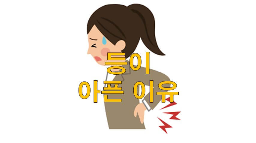  등이 아픈 이유 알아보기
