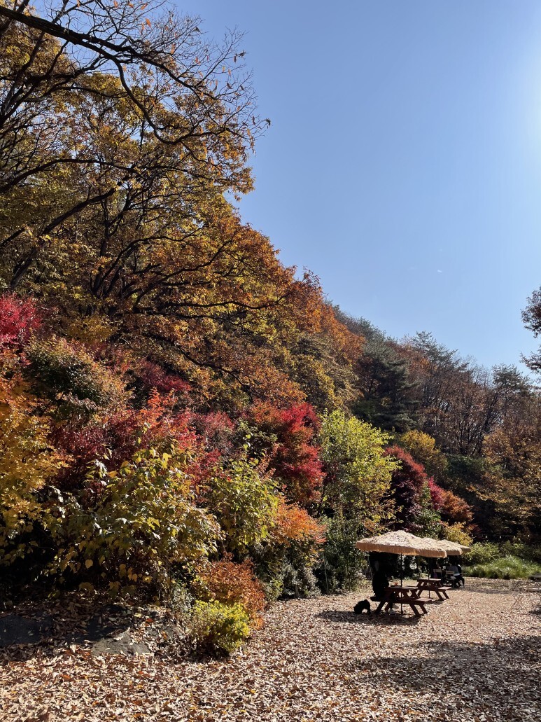 카페 들 야외자리