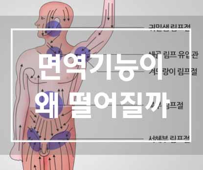  면역기능이 저하되는 이유는 무엇일까