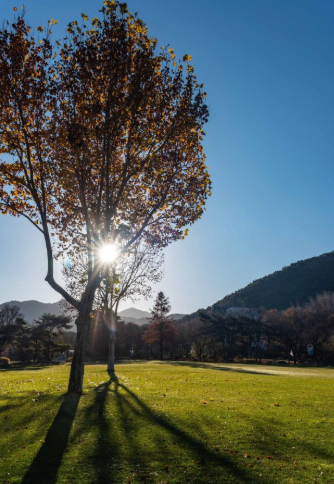 12월 대구 가볼 만한 곳 ❘ 국내 겨울 여행지 ❘ 크리스마스 연말 추천 데이트 명소