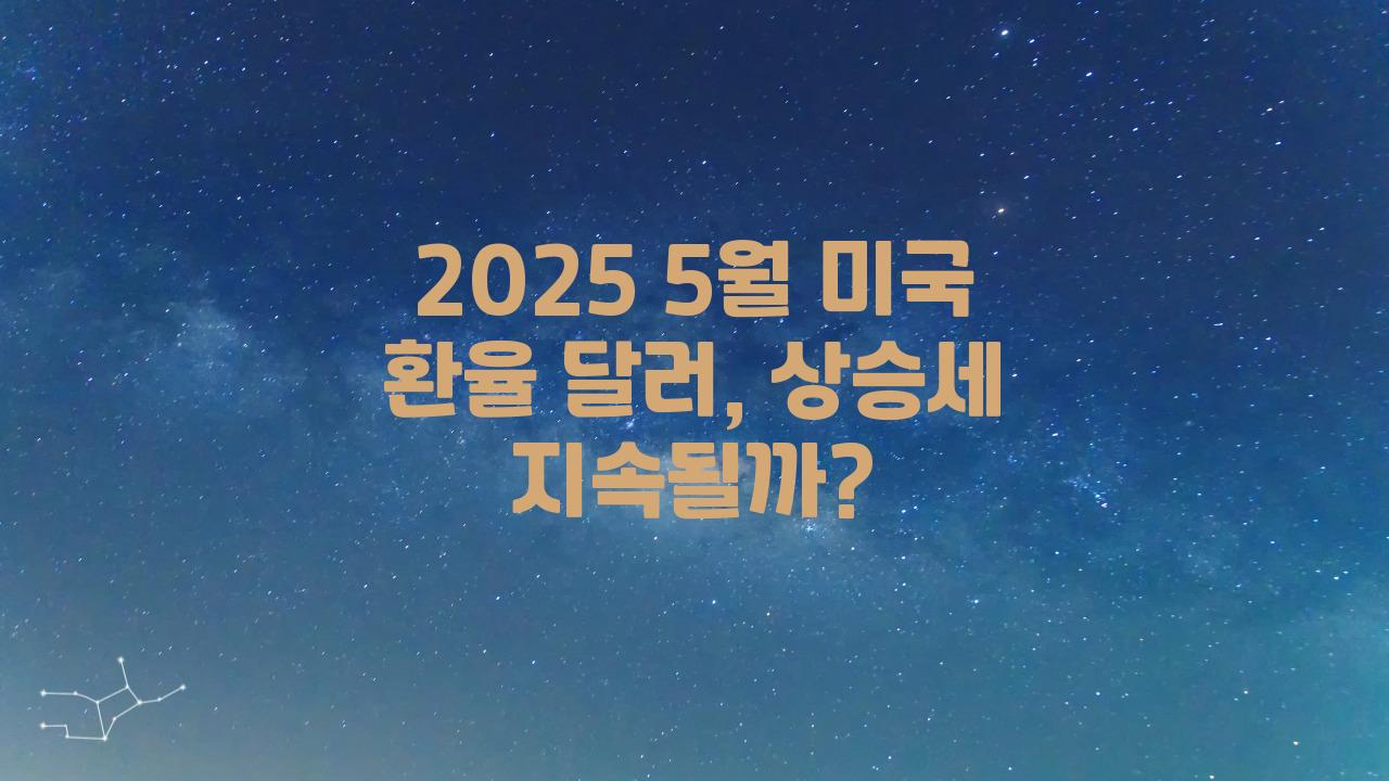 2025 5월 미국 환율 달러