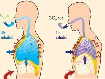  ESG가 만드는 세상 - 탄소세 도입의 함의는?