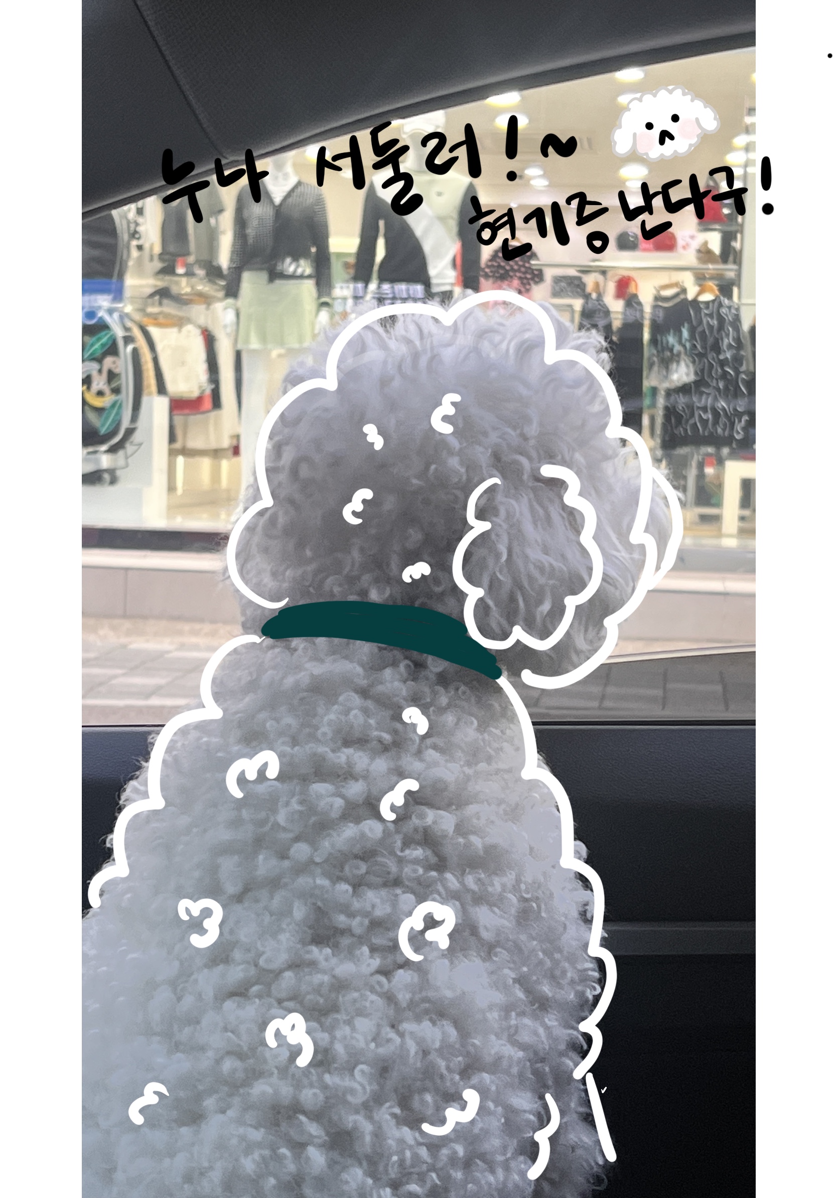  울산 무거동 강아지 동반 카페/강아지랑 커피마시며 벚꽃구경하기