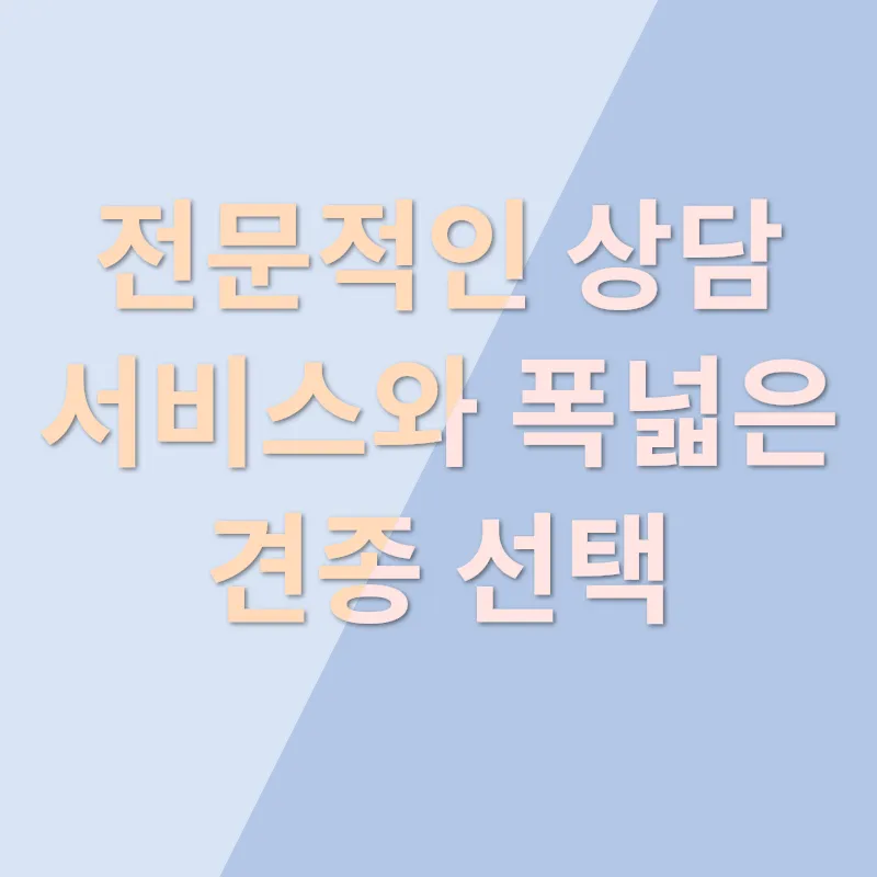 미유펫 김해 토이 푸들 분양_2