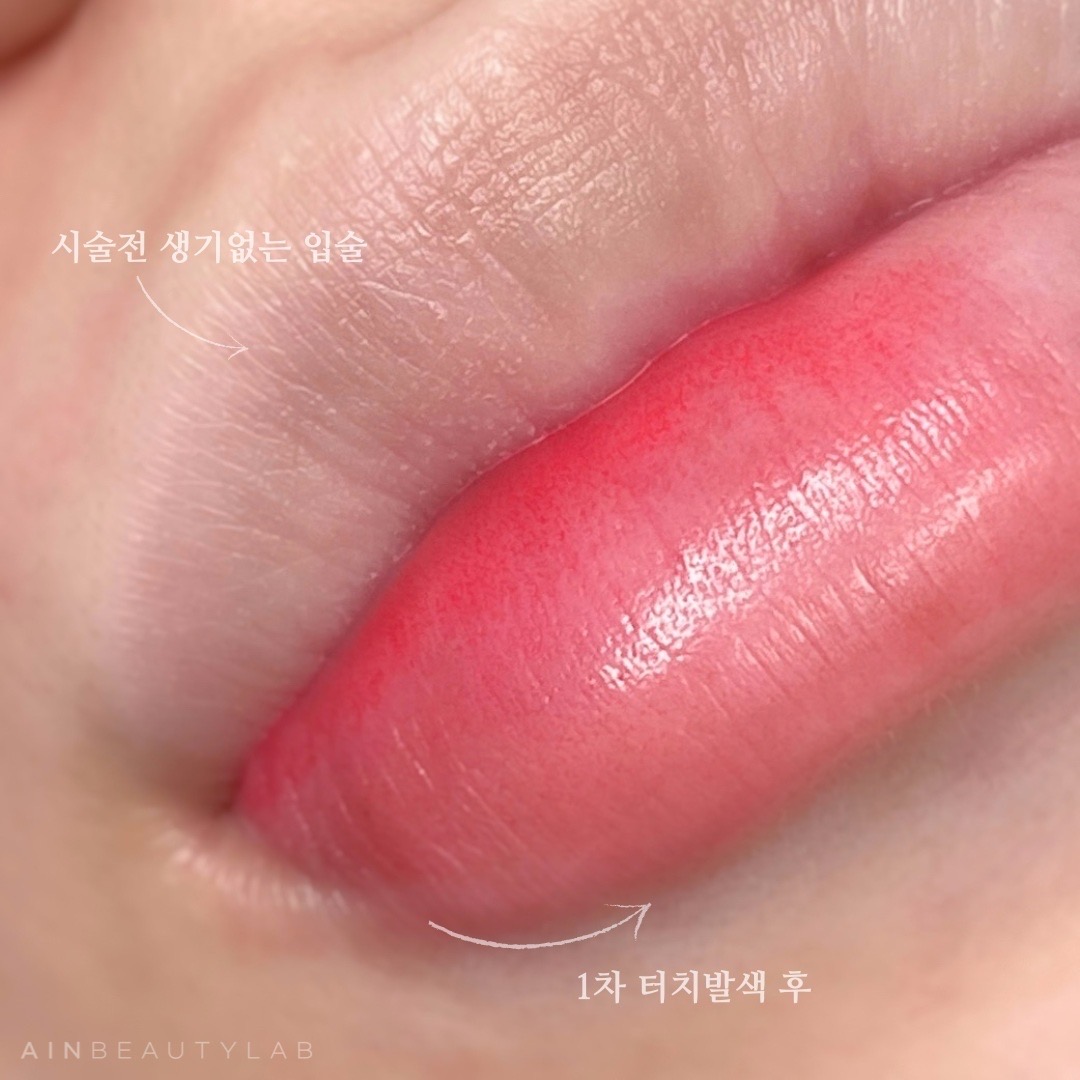  동탄입술반영구 입술반영구 추천