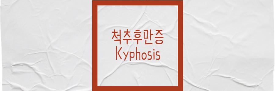 척추후만증 의학용어