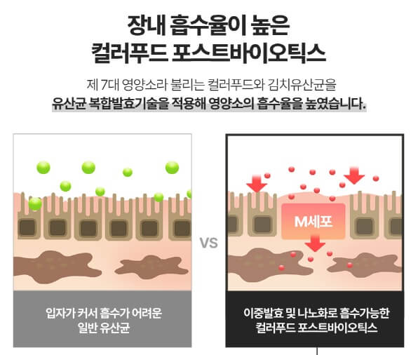 장 건강을 설명하는 사진