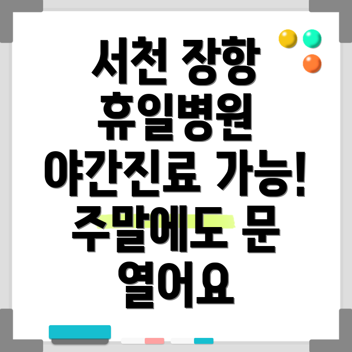 서천군 장항읍 휴일 진료 병원