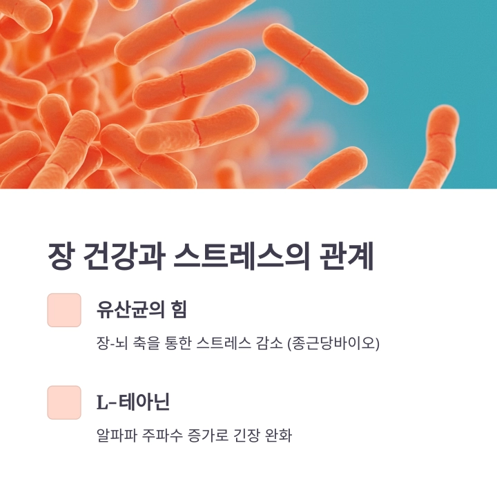 2030세대를 위한 스트레스 날리는 5분 명상법