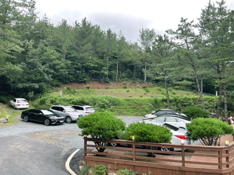 포레스트카페 이미지