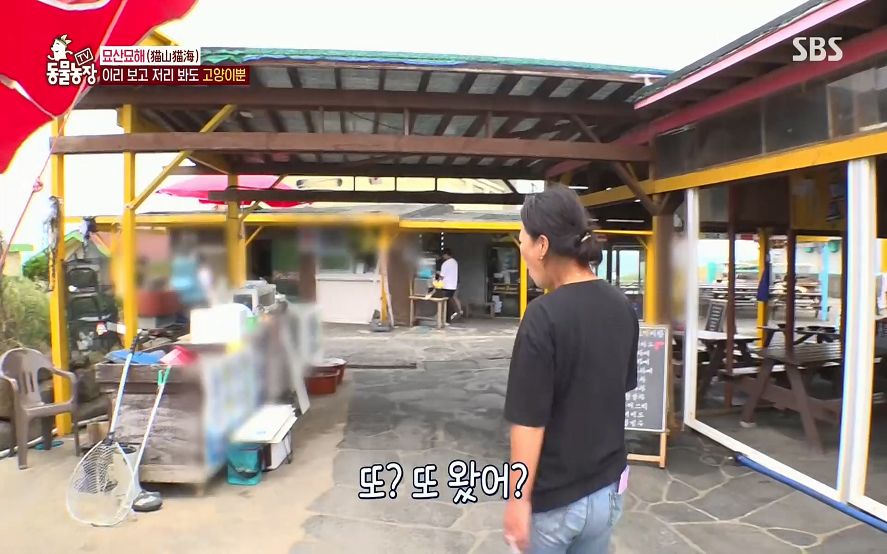 TV 동물농장.E1077.220710p.H264-F1RST.mp4_20220710_175427.242.jpg