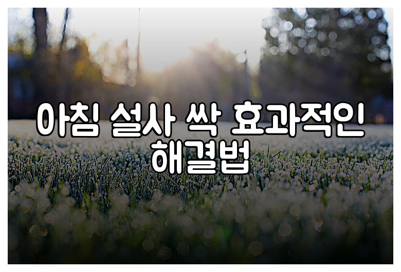 아침 설사 싹 효과적인 해결법