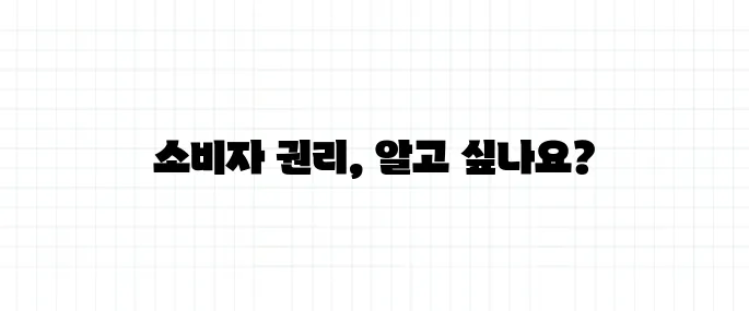항공권 취소 수수료, 소비자 권리 보호 기준은?