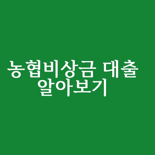  농협 비상금 대출 조건 알아보기