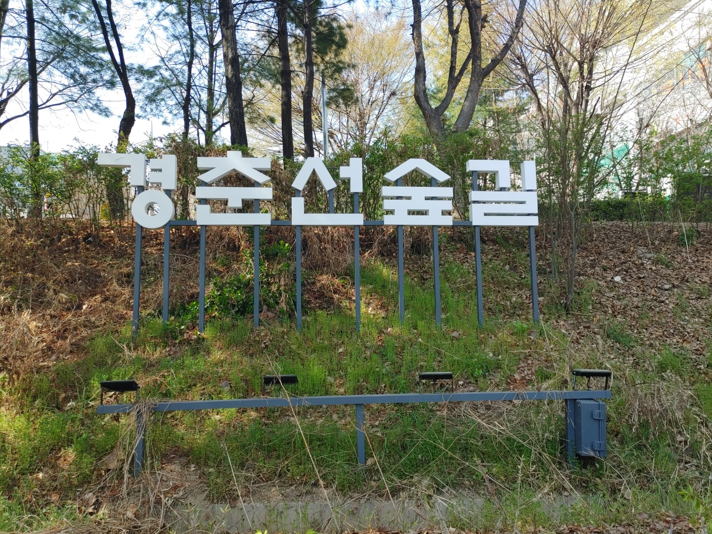  빽다방 쑥쑥빽스치노 들고 경춘선숲길 산책하기!!!