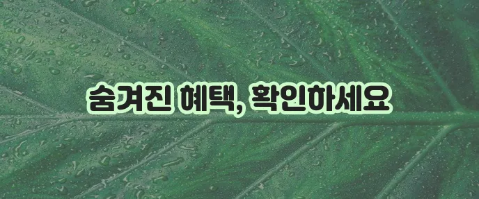 60세 이상 고령자 고용지원금 꼭 챙겨보세요