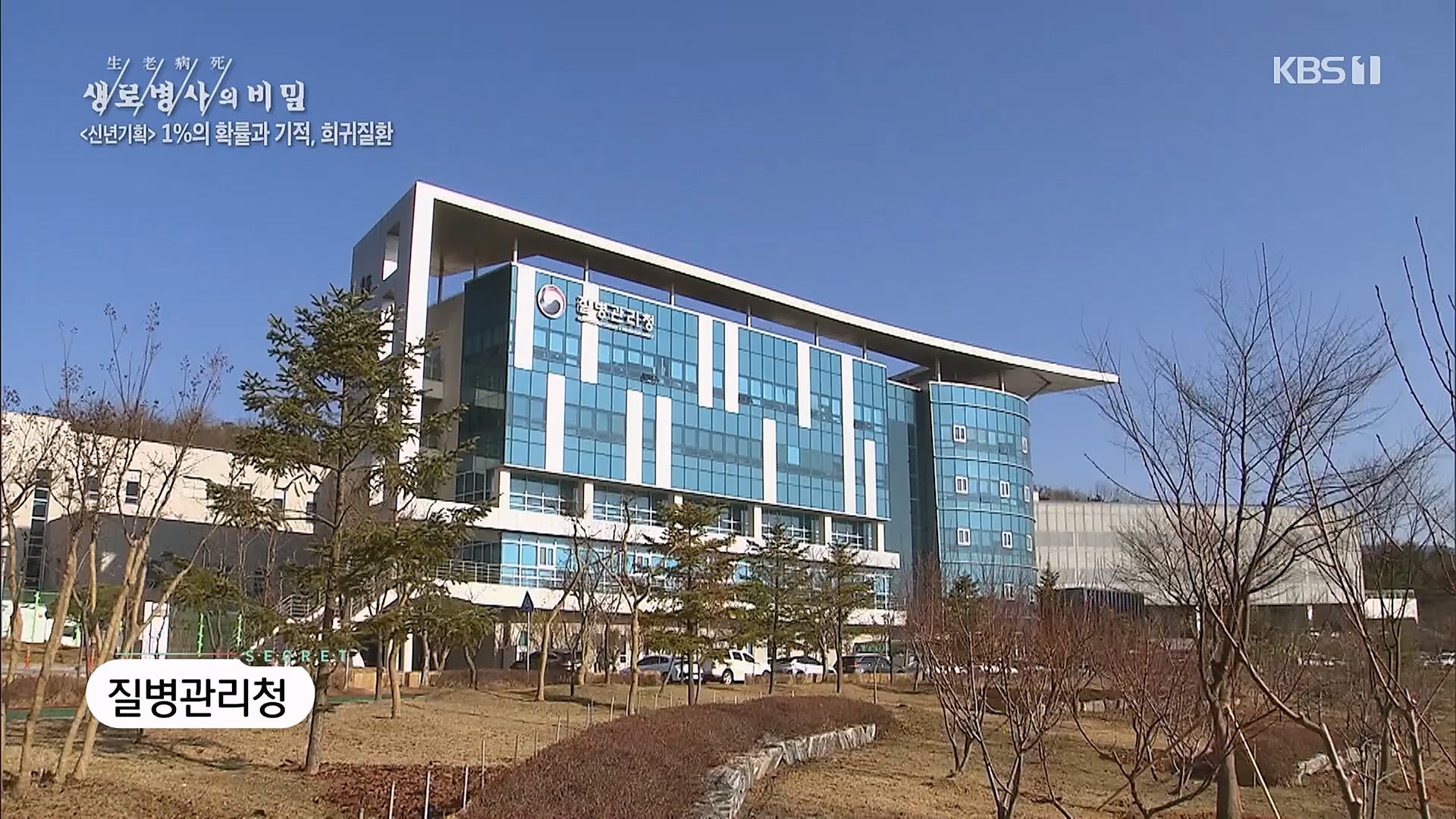 생로병사의 비밀.E850.230104p.H264-F1RST.mp4_20230117_195212.557.jpg