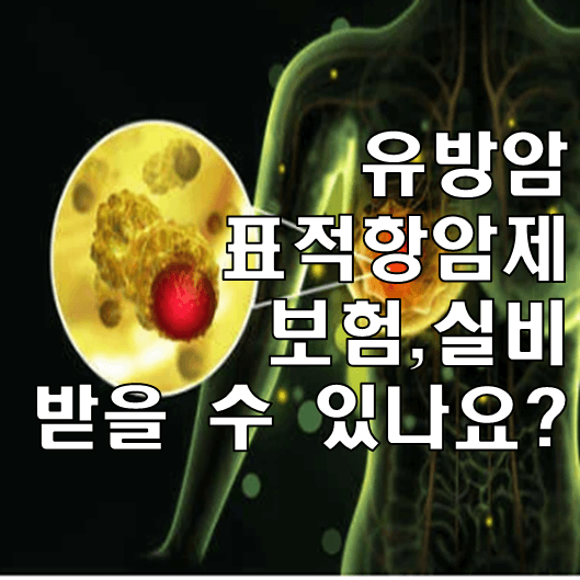 유방암 표적항암제 썸네일