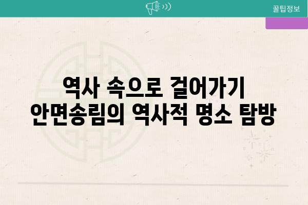 역사 속으로 걸어가기 안면송림의 역사적 명소 탐방