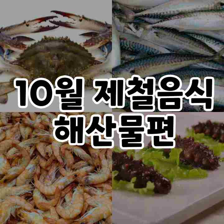  10월 제철음식 알아보기 - 해산물편