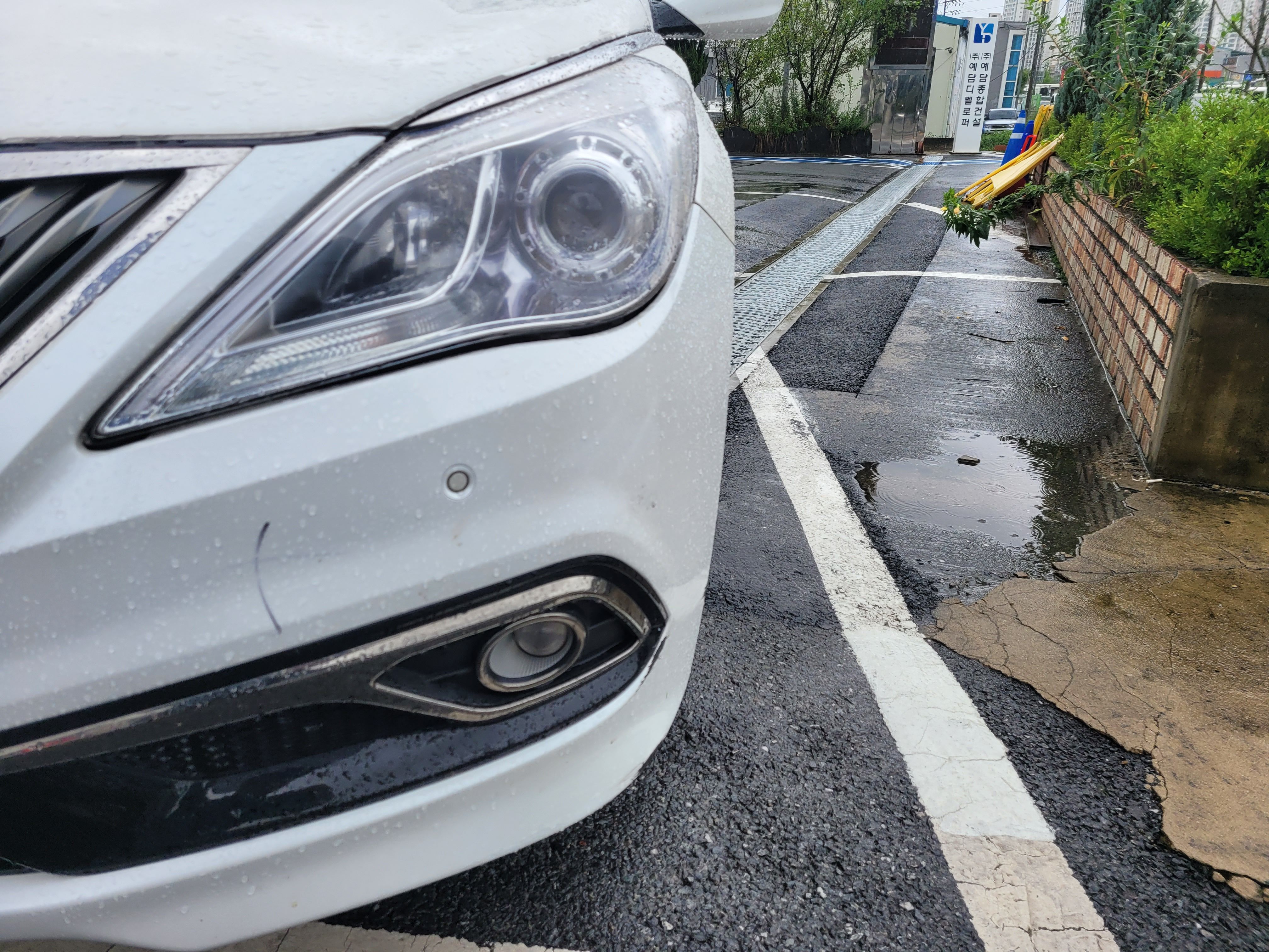 기능광택 외형복원