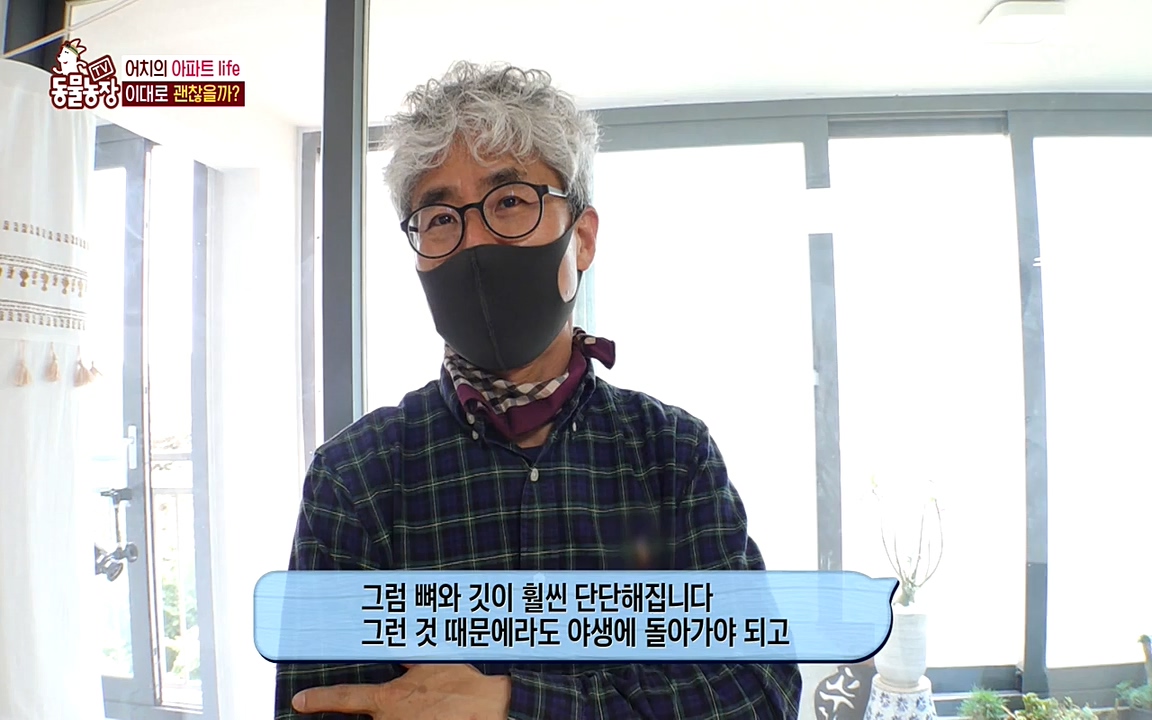 TV 동물농장.E1075.220627p-NEXT.mp4_20220626_175608.571.jpg