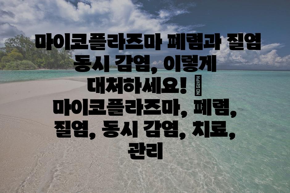 샘플 (2)