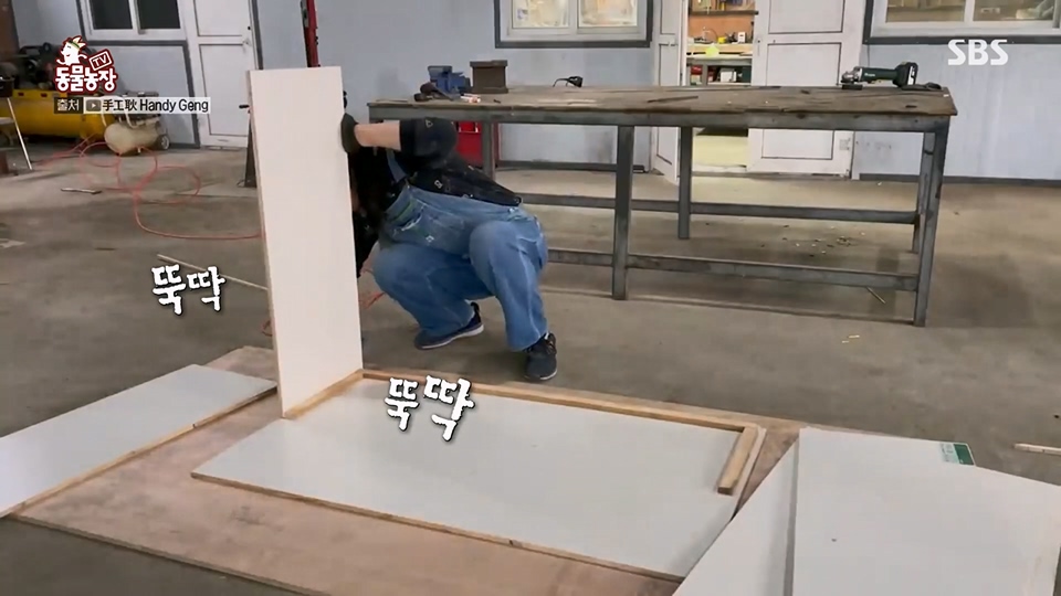 TV 동물농장.E1128.230709p.H264-F1RST.mp4_20230709_183506.563.jpg