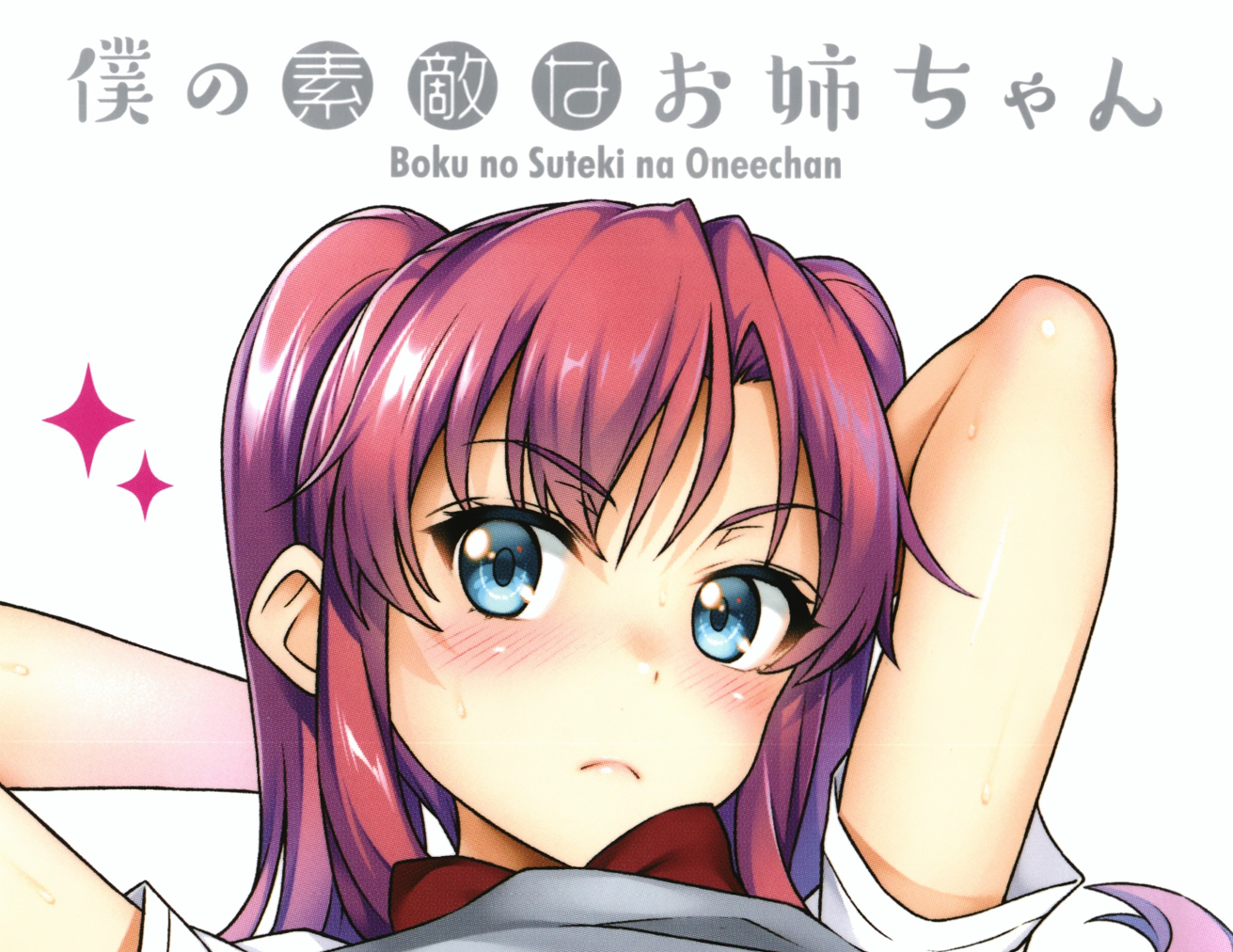  나의 멋진 누나 (僕の素敵なお姉ちゃん)